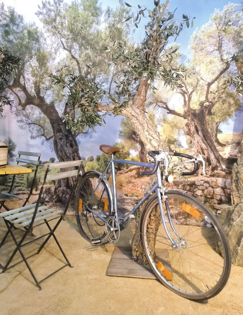 Race Bike  / Old Fashion Bicycle
