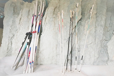 Ski Poles    Modern  a pair