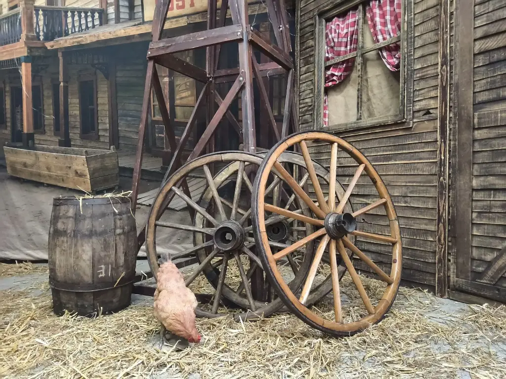 Wheel Large of a Wagon