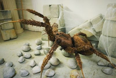 Spider XL Attacks