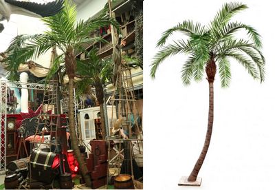 Palmtree  Phoenix  Curved