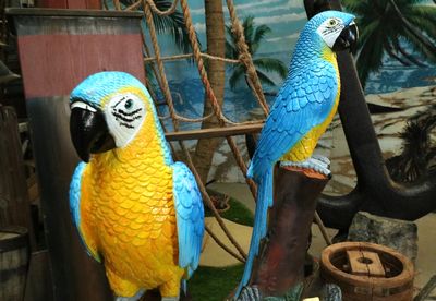 Parrot Red or Blue / Yellow on a Trunk