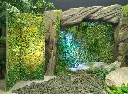 Planten   Muur/Scherm