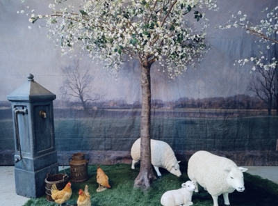 Blossom  Apple Tree        gr