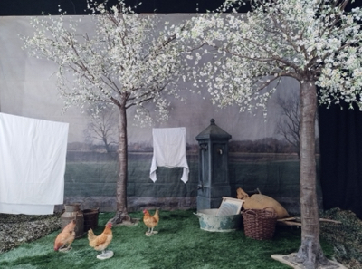 Blossom Fruit Tree    y/r