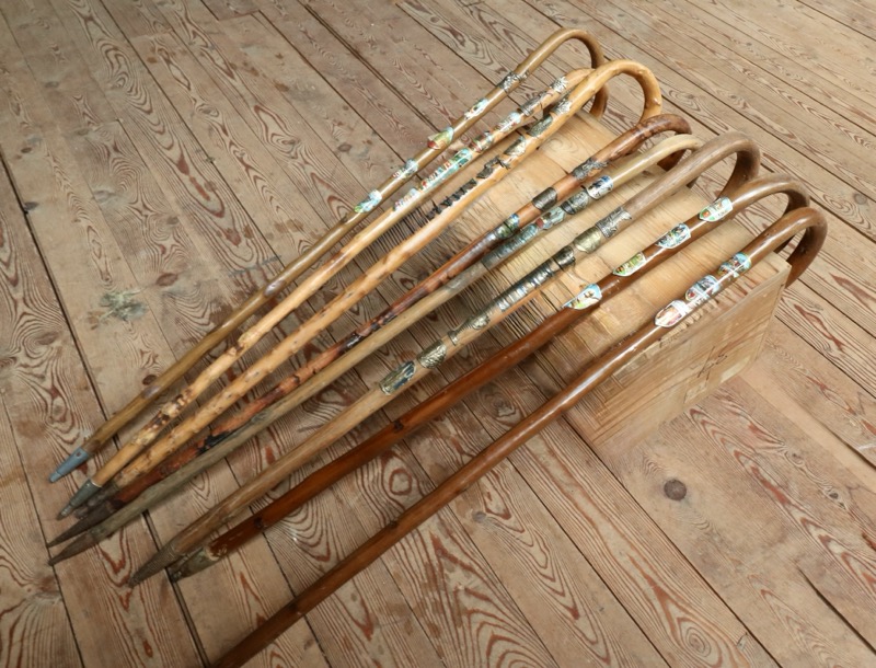Walking Stick with Metal Badges