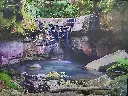 Backdrop    Jungle wth. Waterfall