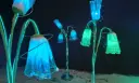 Enchanted   Flowers   220v