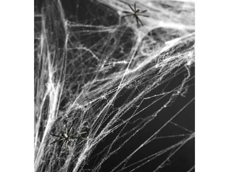 spiderweb 