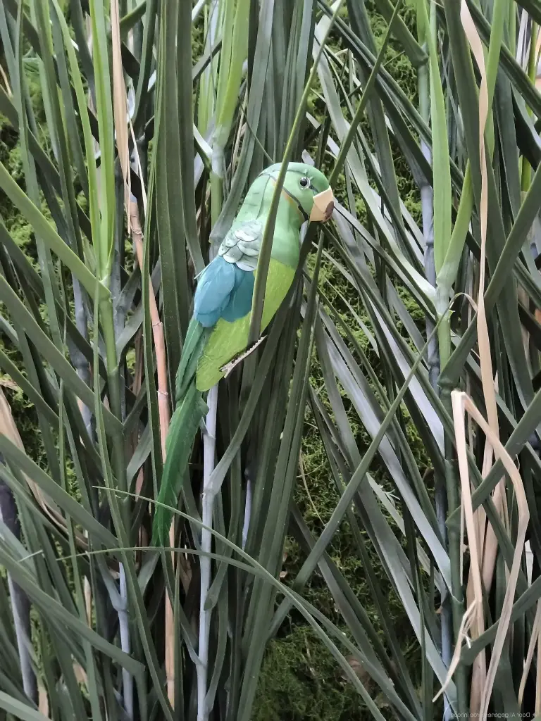 Sale Shell Parakeet 27cm green
