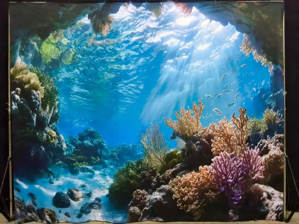 Backdrop Barrier Reef 