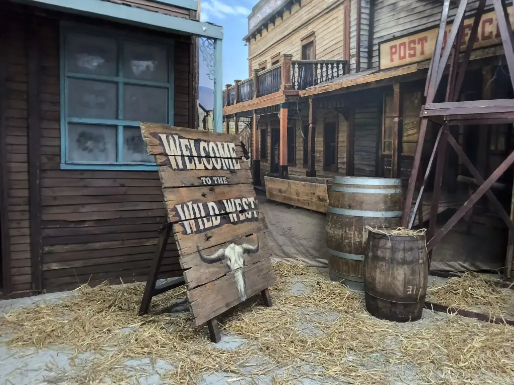 Panel  "Welcome to the  Wild West"