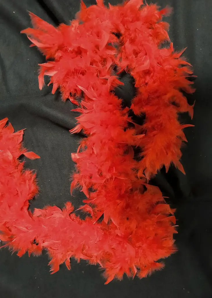 sale Boa Red  feathered 