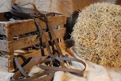 Kist met Lederen Tuigage