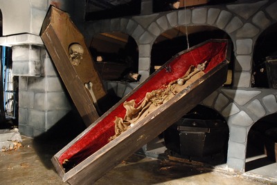 Coffin   Wood   tissue with bones
