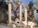 Column   Normal