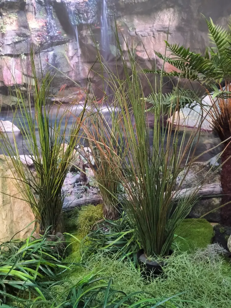 Grass High Vertical