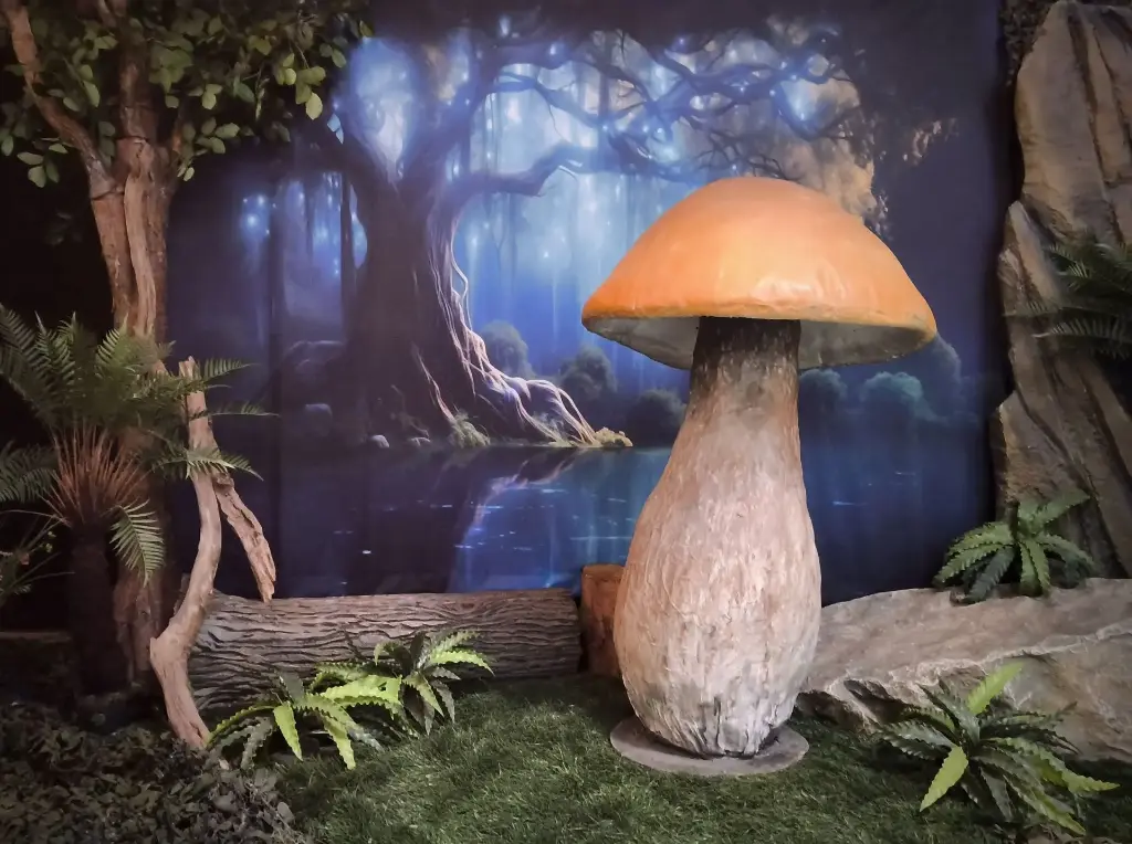 Mushroom, Boletus, large