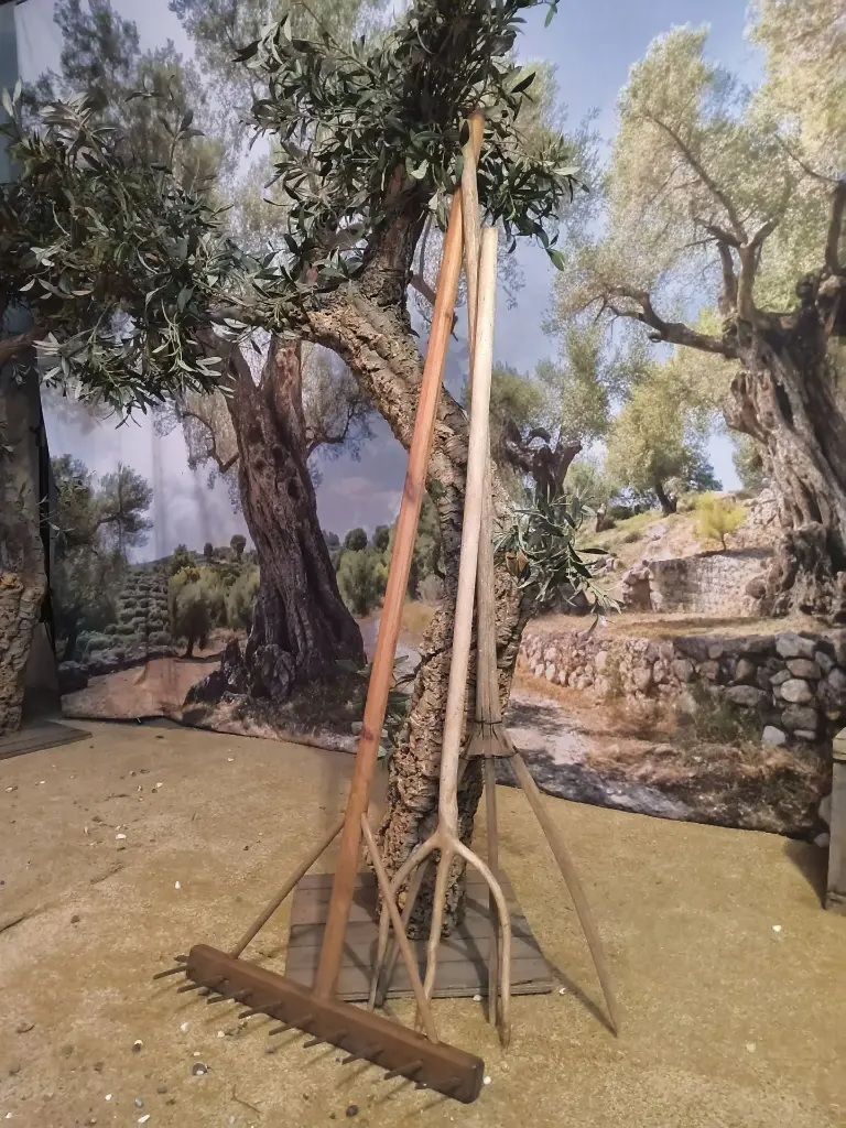 Wooden Fork or Rake