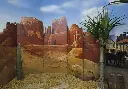 Screen  Grand-Canyon landscape