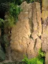 Rock Sandcoloured Wall   L a pc.