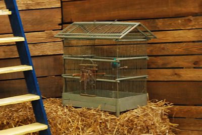 Bird-cage, square
