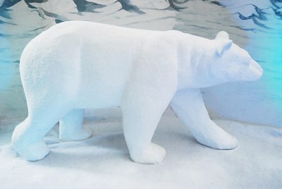 Ice Bear  White