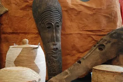 African tissue  Bark  brown