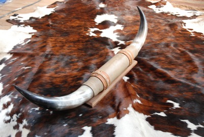 Horns  on  board