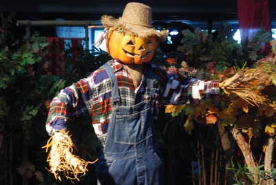 Scarecrow 