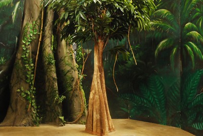 Jungle  Tree  2m60