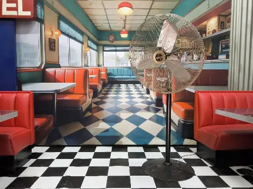 Ventilator, Fan  XL on foot  220v