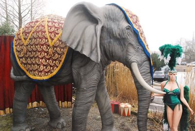 Harness  to make "Elephant" a Circus/Indian Act