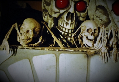 Spider  MIni  Skeleton