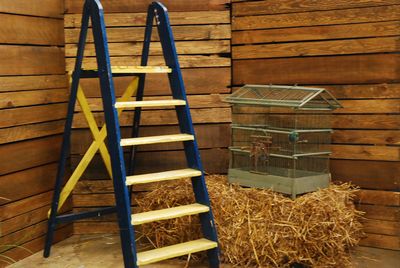 Ladder coloured,  blue/yellow