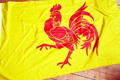 Flag, Wallonia