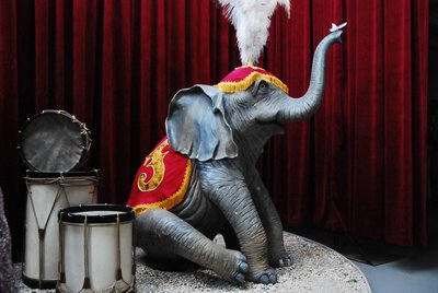 Harness   to make "Baby Elephant"  a Circus Act
