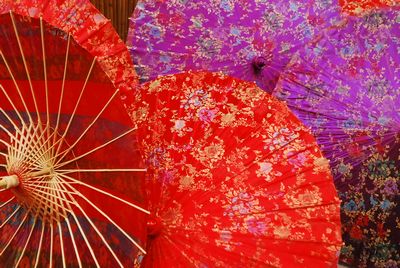 Parasol Chinese in Red or Purple