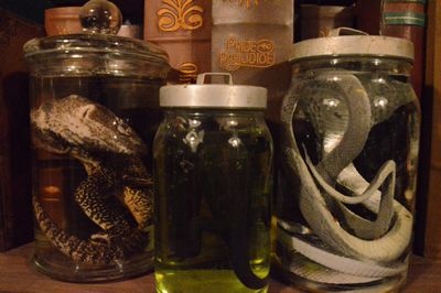 Jar with a Reptile on Aqua Fortis   a pc.
