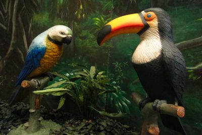 Toucan, on a branche, statue