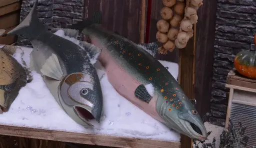 Fish   Brown Trout   in  tin (right-side)