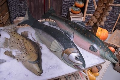 Green Carp, Fish,  tin, (left-side)