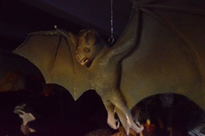 Bat polyester  ( to hang up )