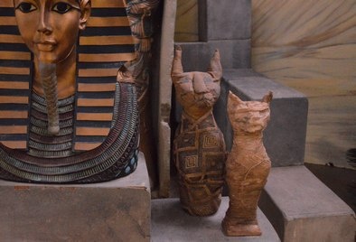 Mummified  Cats a pair