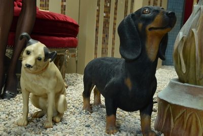 Dog  Terrier    "Nipper"   HMV   life-size