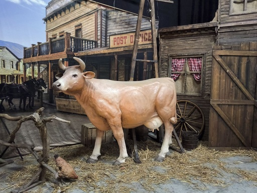 Cow   Brown  head-up    a Limousine