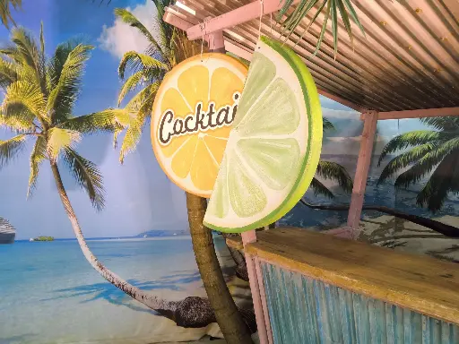 Lime Half a Slice