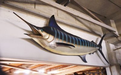 Giant Marlin,  Swordfish,