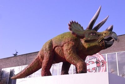 Dinosaur, Triceratops, (Cretaceous)