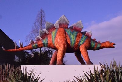 Dinosaur   Stegosaurus  (Jurassic)